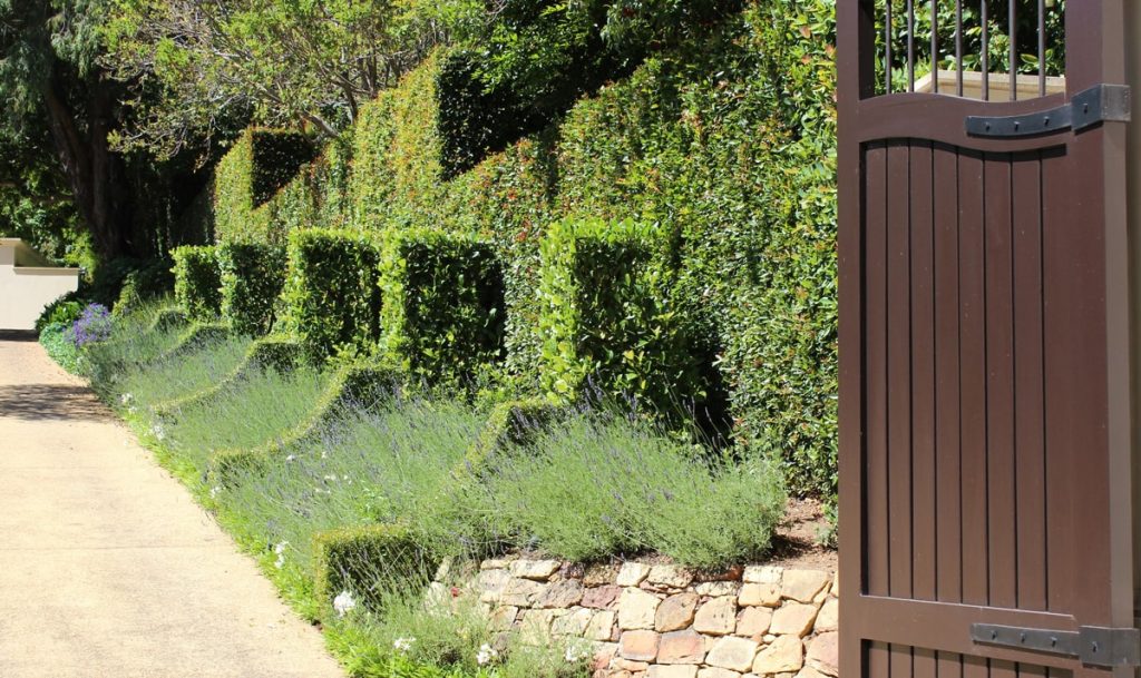 service-garden-management-2-min